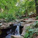 Greensboro Botanical Gardens