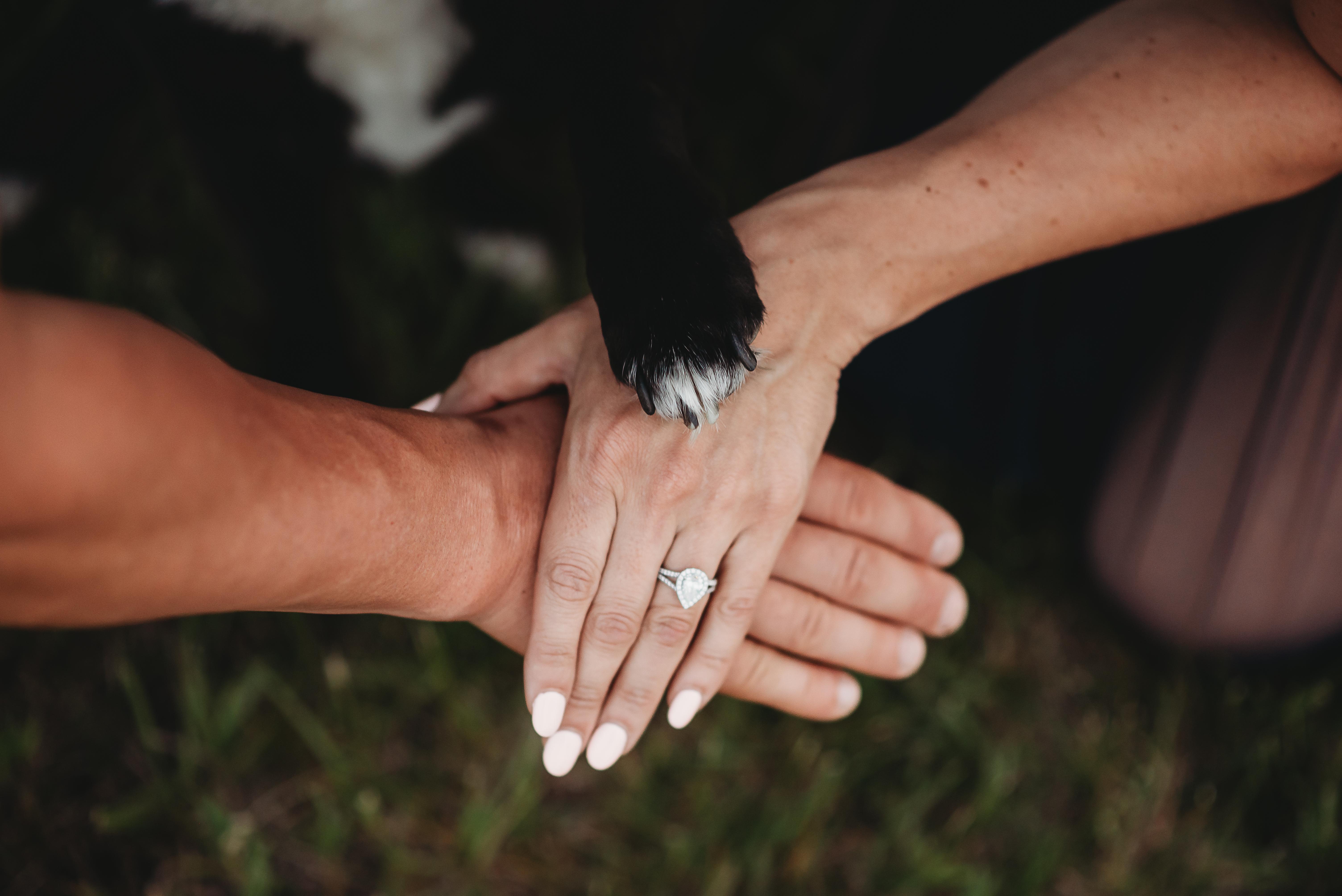 The Wedding Website of Jennifer Gaeding and Adam Dahm
