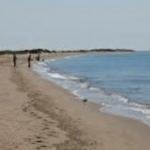 South Cape Beach State Park