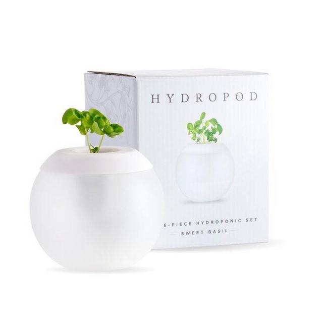 W&P Hydroponic Gardening Pod Planter | White, 5 Piece | Gardening Set for Small Spaces (WP-HYDROPOD)