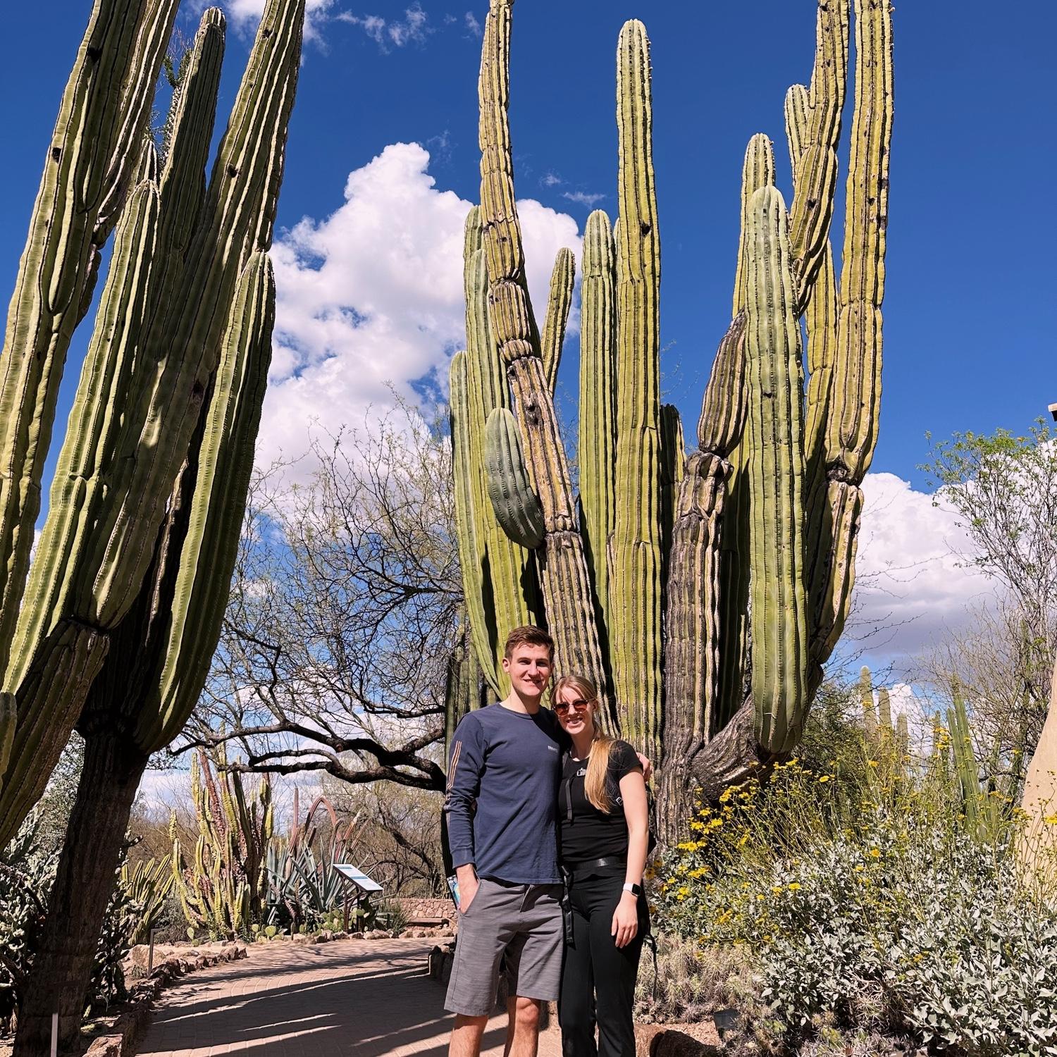 Phoenix AZ (March 2023)