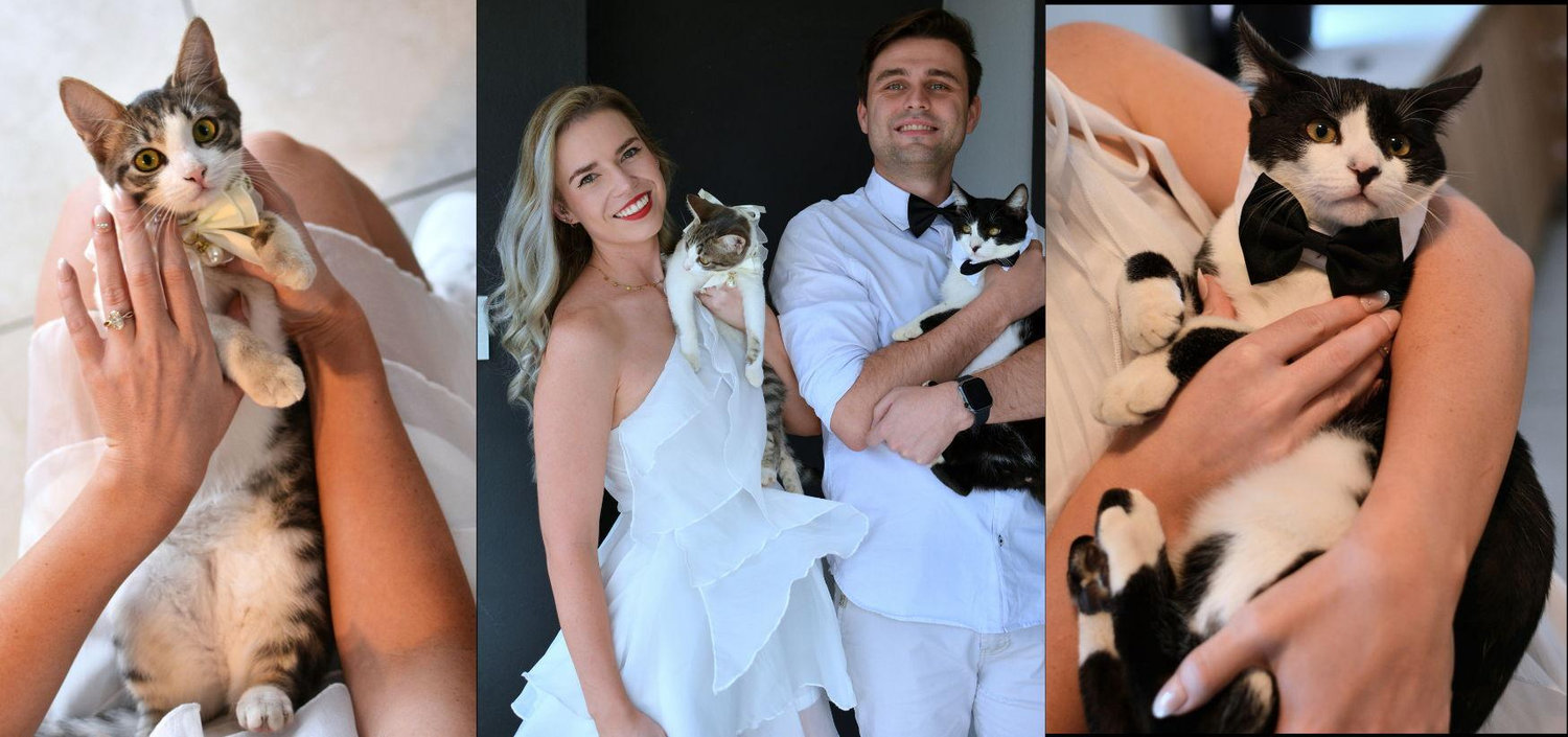 The Wedding Website of Carmen Coertzen and Jacques Van Dyk