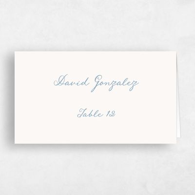 Blue Whimsical Wedding Place Card - Cara