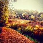 Richardson Nature Center