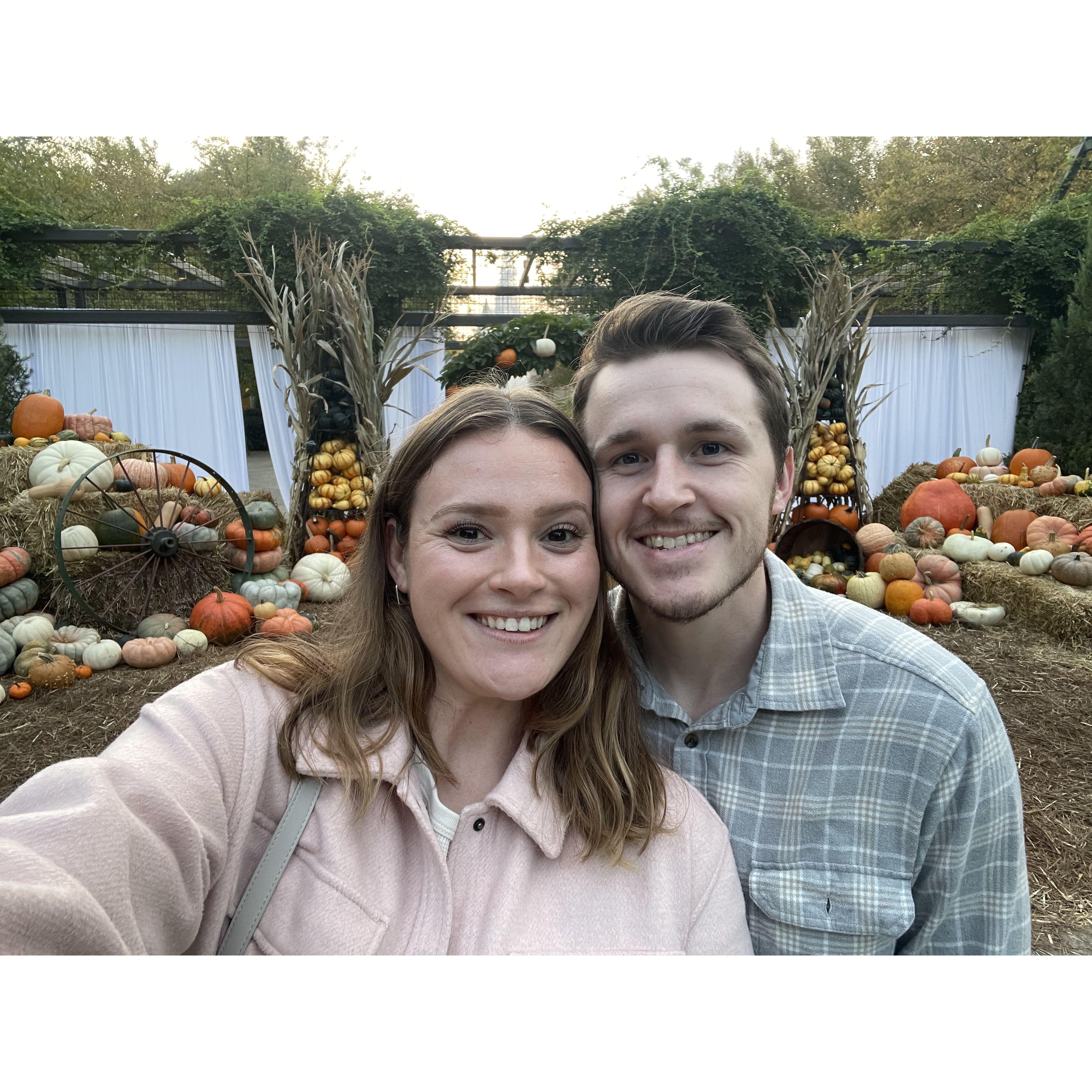 Fall things in Memphis
