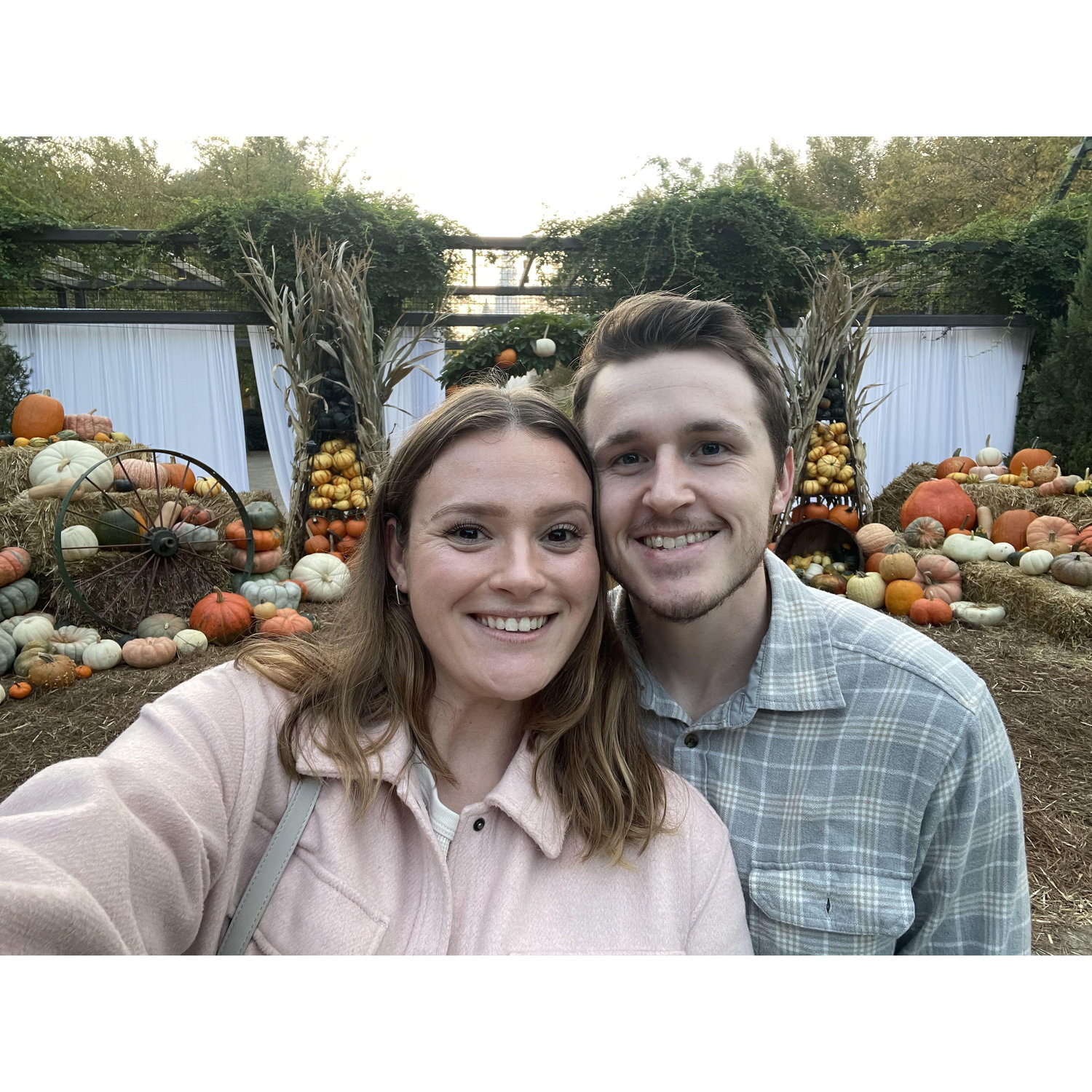 Fall things in Memphis