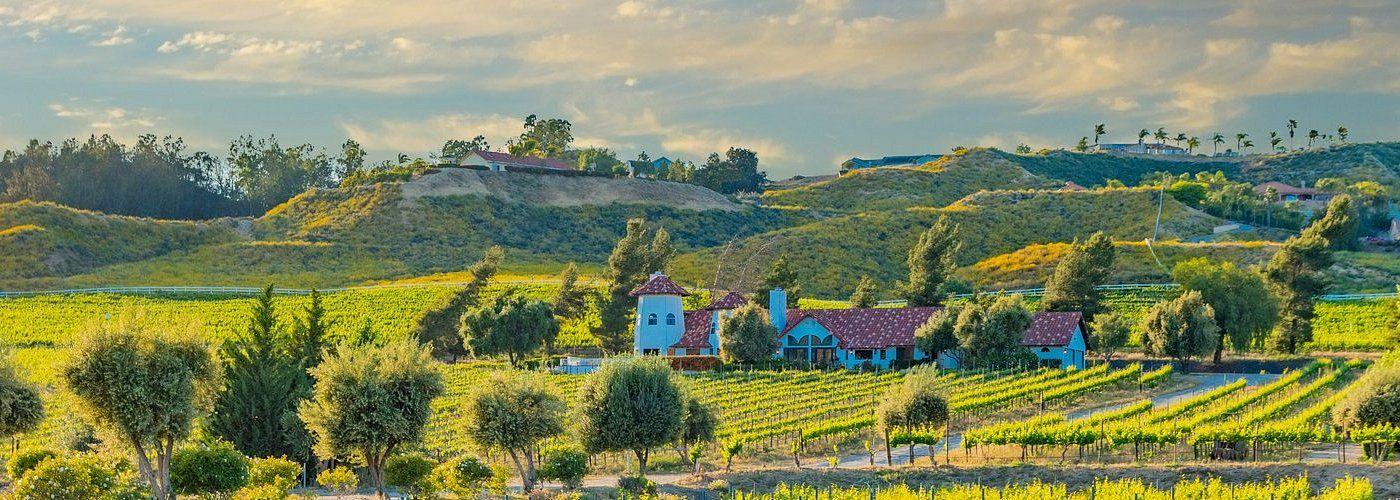 The Wedding Website of Rachel Hong and Joseph Kim