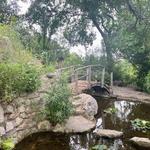 Zilker Botanical Garden