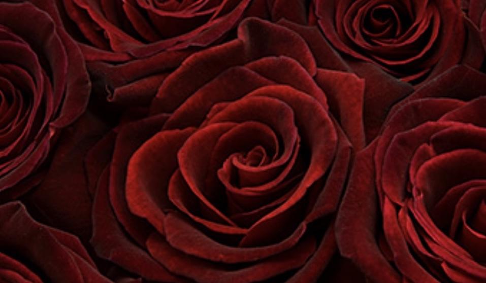 Footer image
