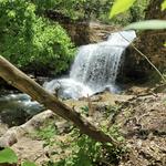 Tanyard Creek Waterfall Trail