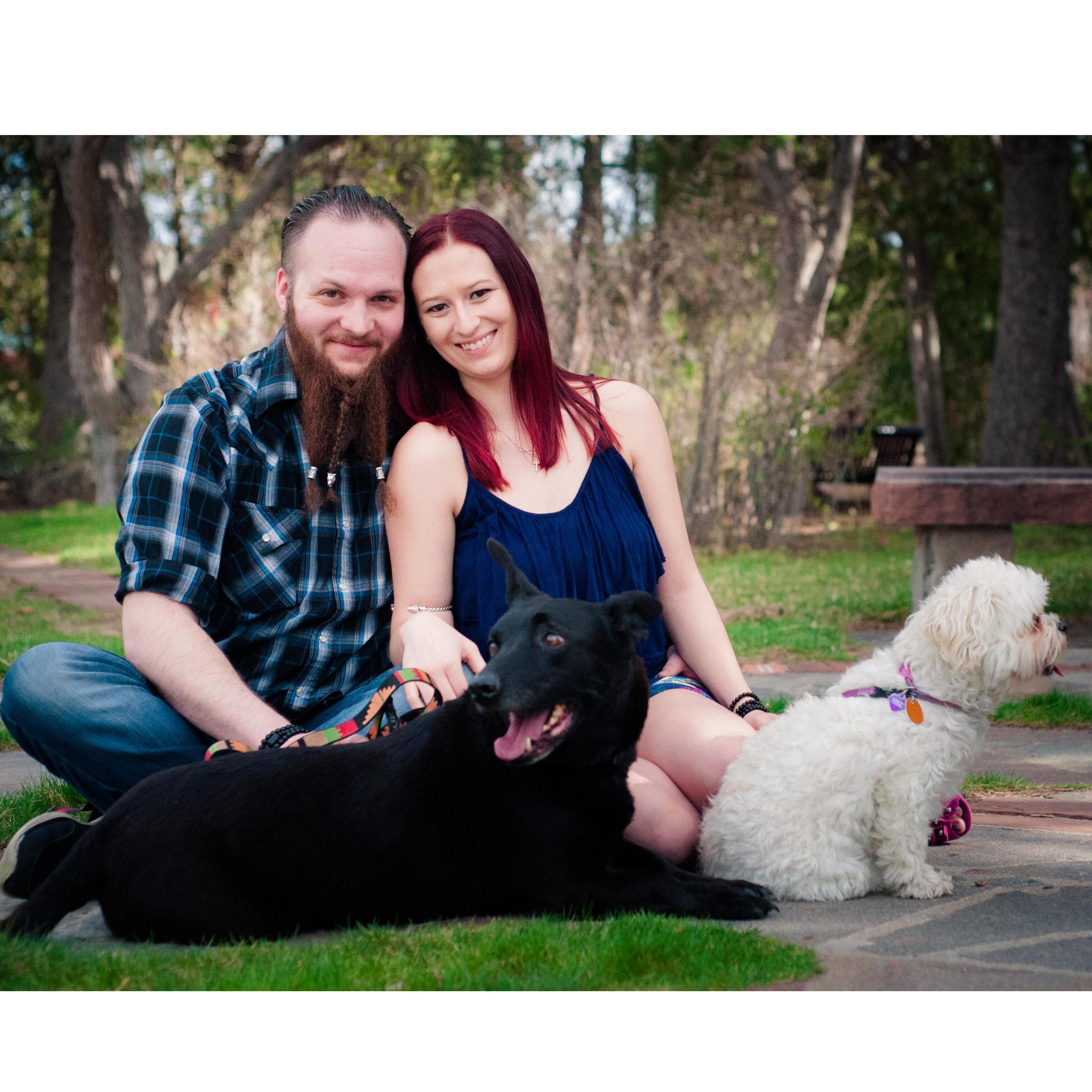 This is such a great photo! If only Nikki was looking at the camera (she was distracted by another dog).