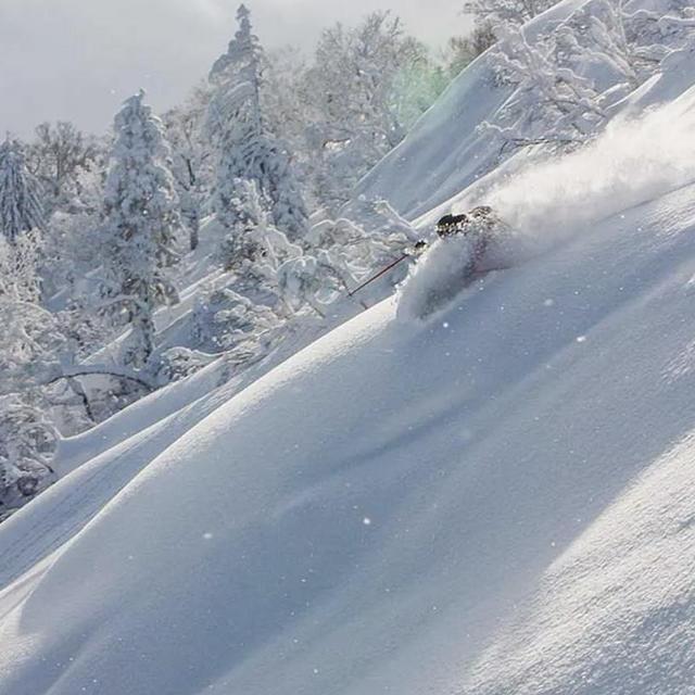 Hokkaido Cat Skiing / Guide