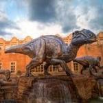 Fernbank Museum | 3D Theater | Forest