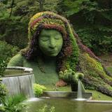 Atlanta Botanical Garden