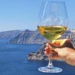 Santorini Vineyward Tours