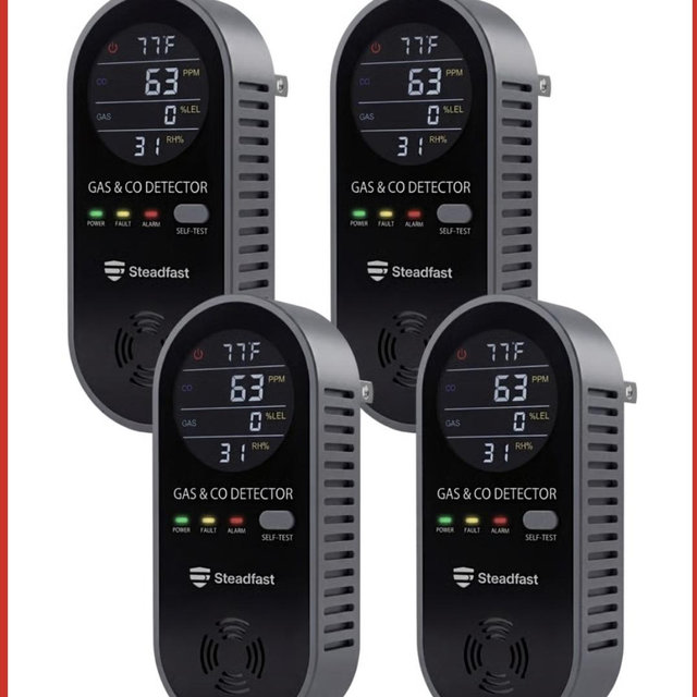 Haven Home Gas and CO Detector