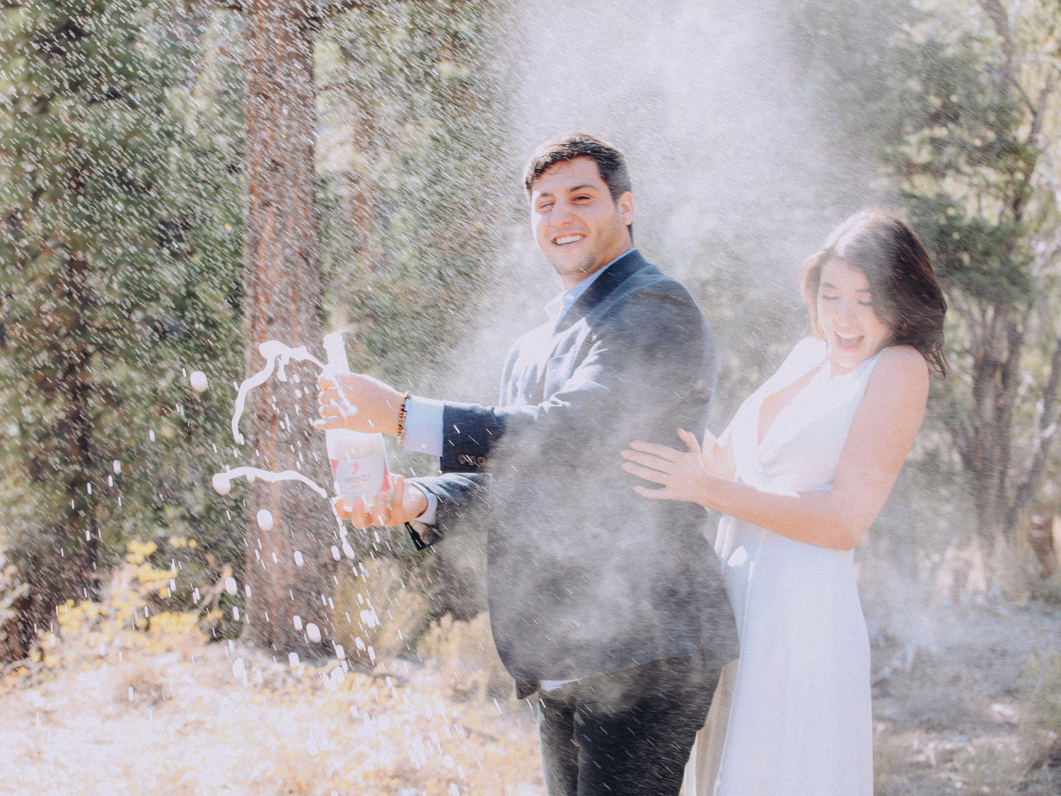 The Wedding Website of Alexa Mateos and David Gavrilov