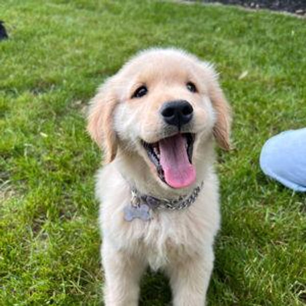 Toys for Winnie