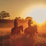 Horseback Riding
