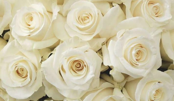 The Wedding Website of Stephanie Kuehner and Trevor Crosier