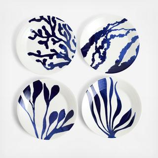 Pacific Assorted Dinner Plate, Set of 4