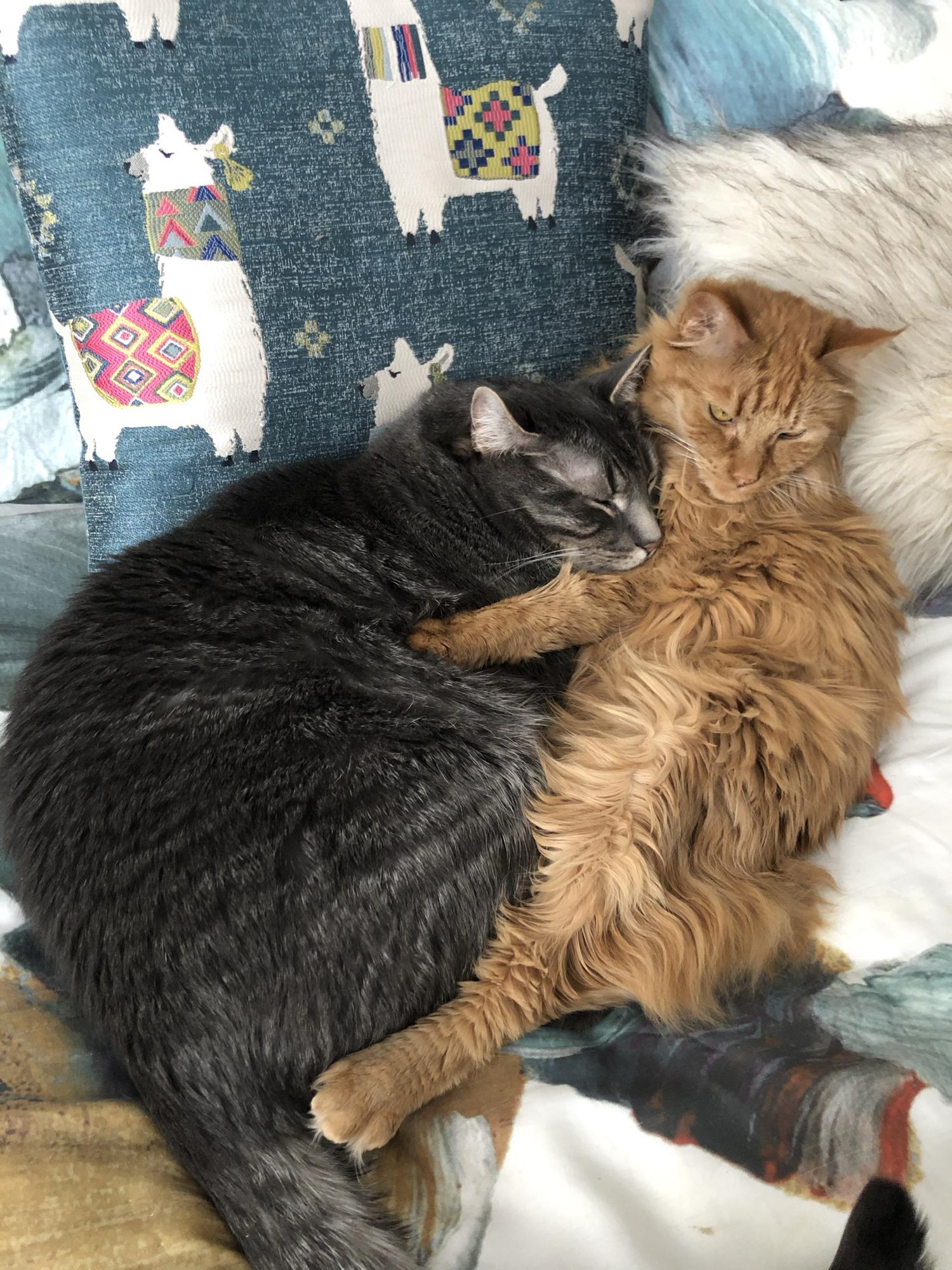 Storm & Fernando