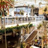 Anaheim Packing District