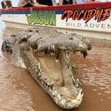 Jason Crocodile Tours