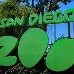 San Diego Zoo