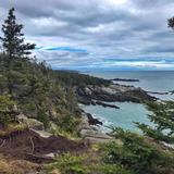 Quoddy Head State Park