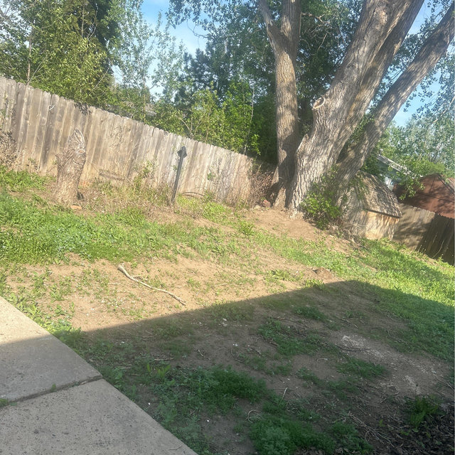 Back Yard Fund