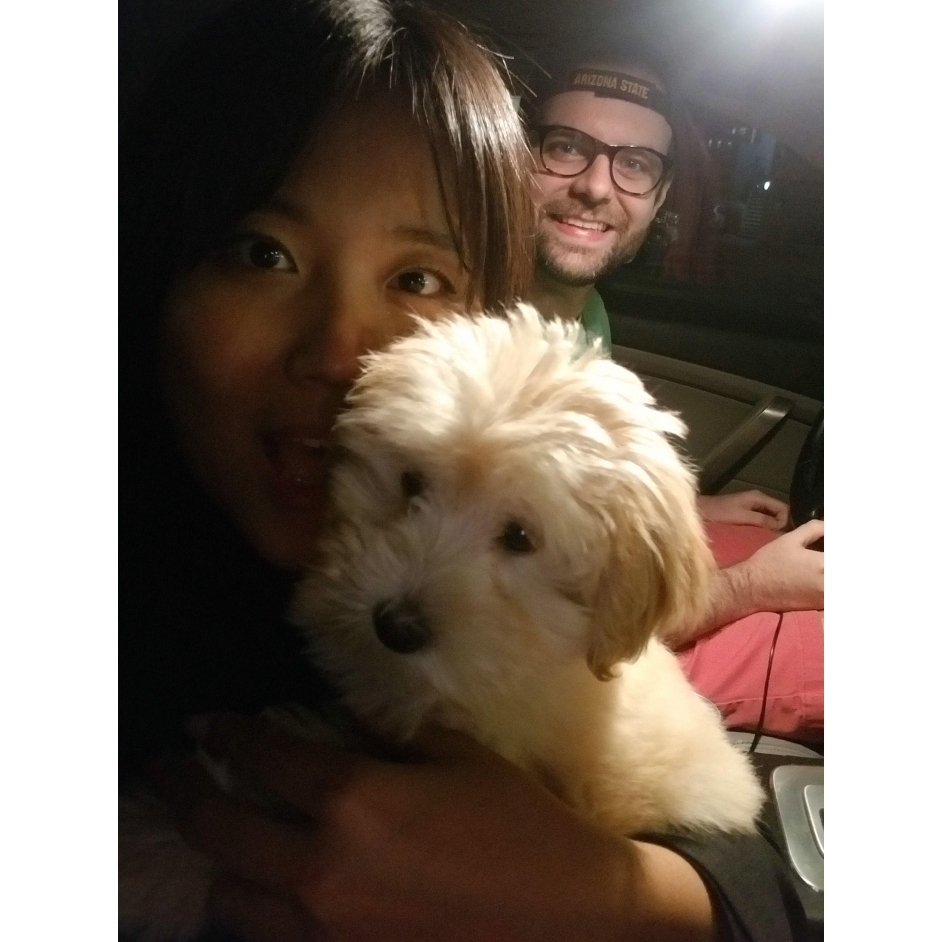 November 2019 - Maple joined our fambam