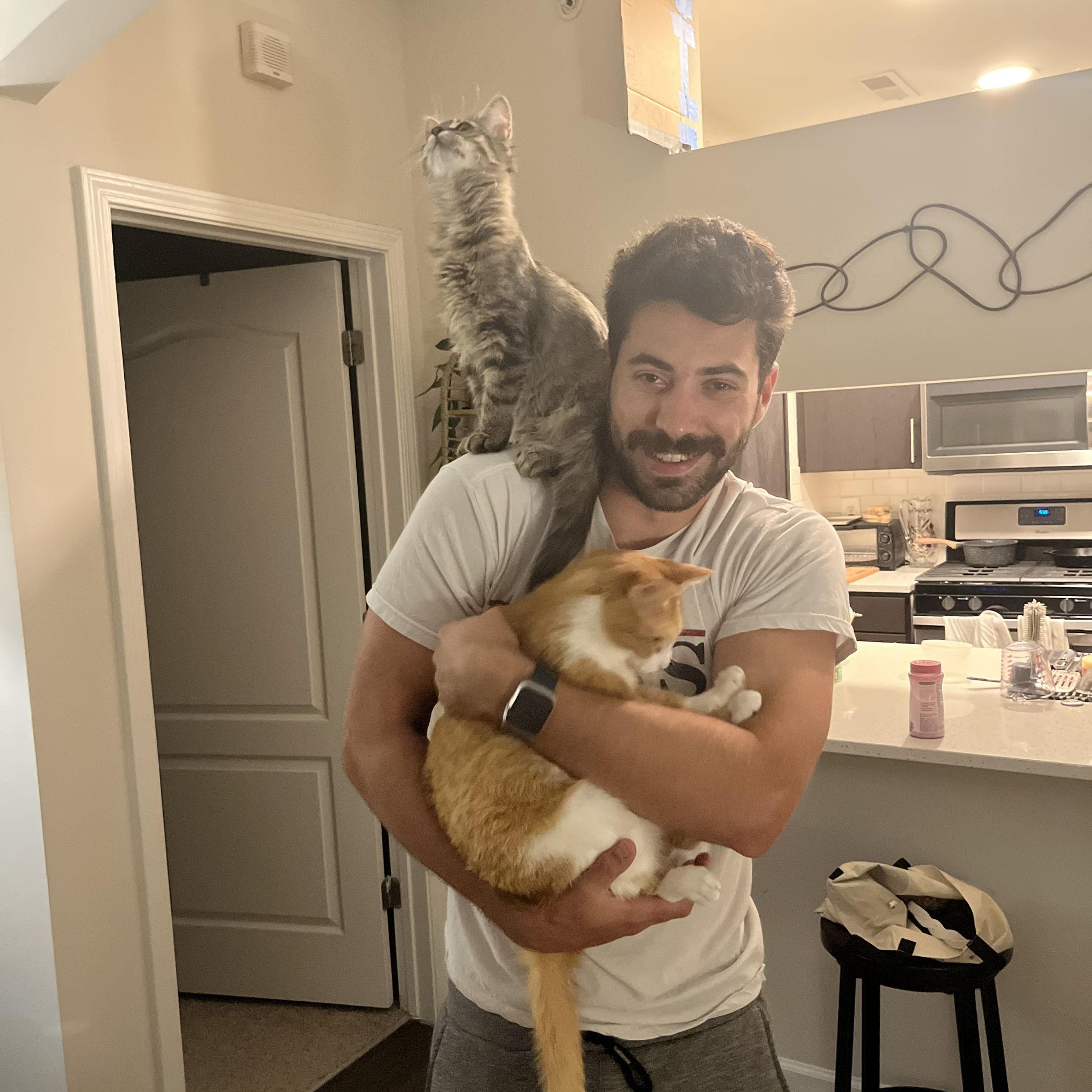 Our second cat - baby Layla!