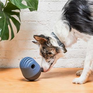 The Game Treat Dispensing Dog Toy