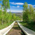 Alpine Slide
