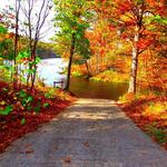 Yellowwood State Forest