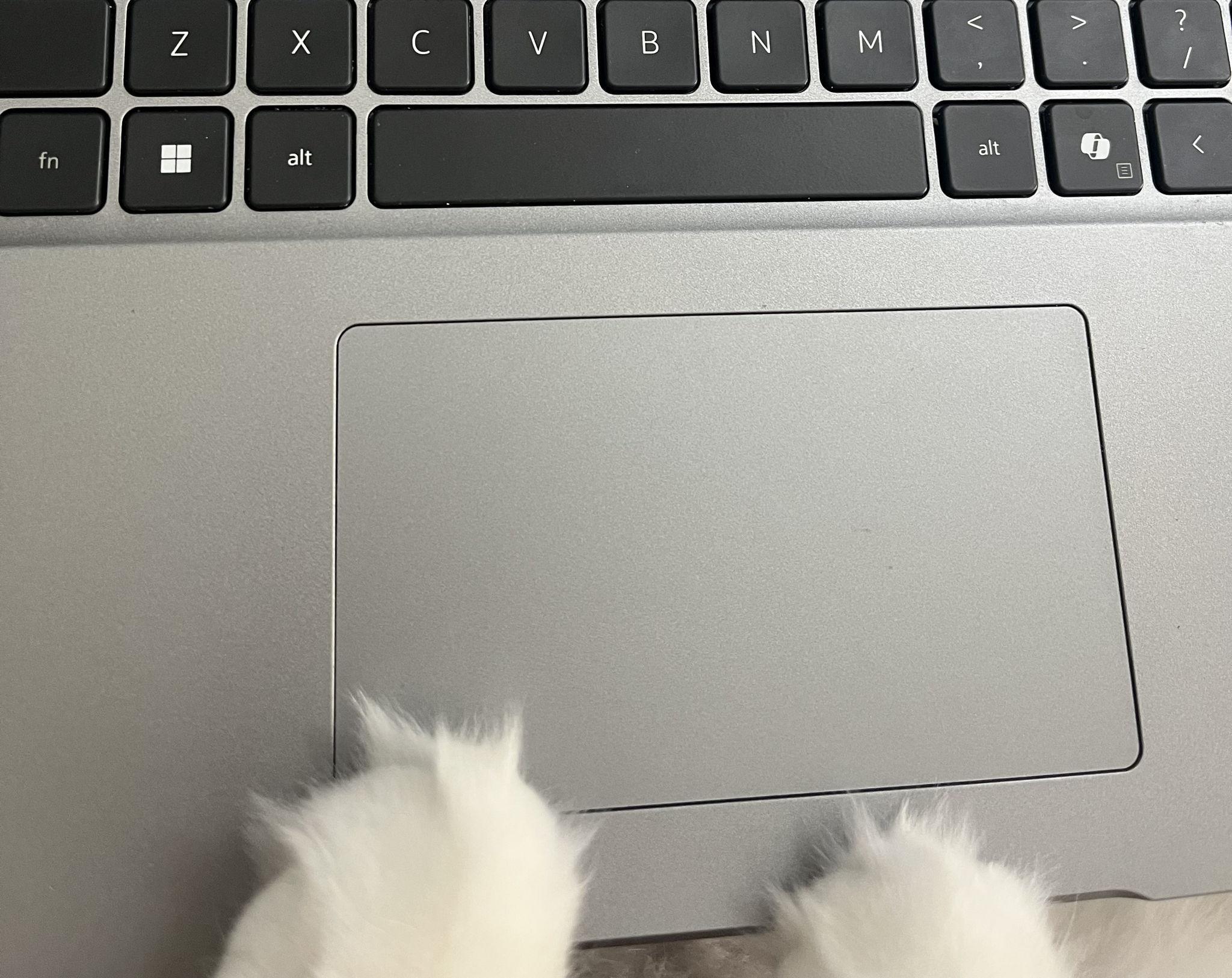 The Wedding Website of Meghan O’Sullivan and Dan Flanagan