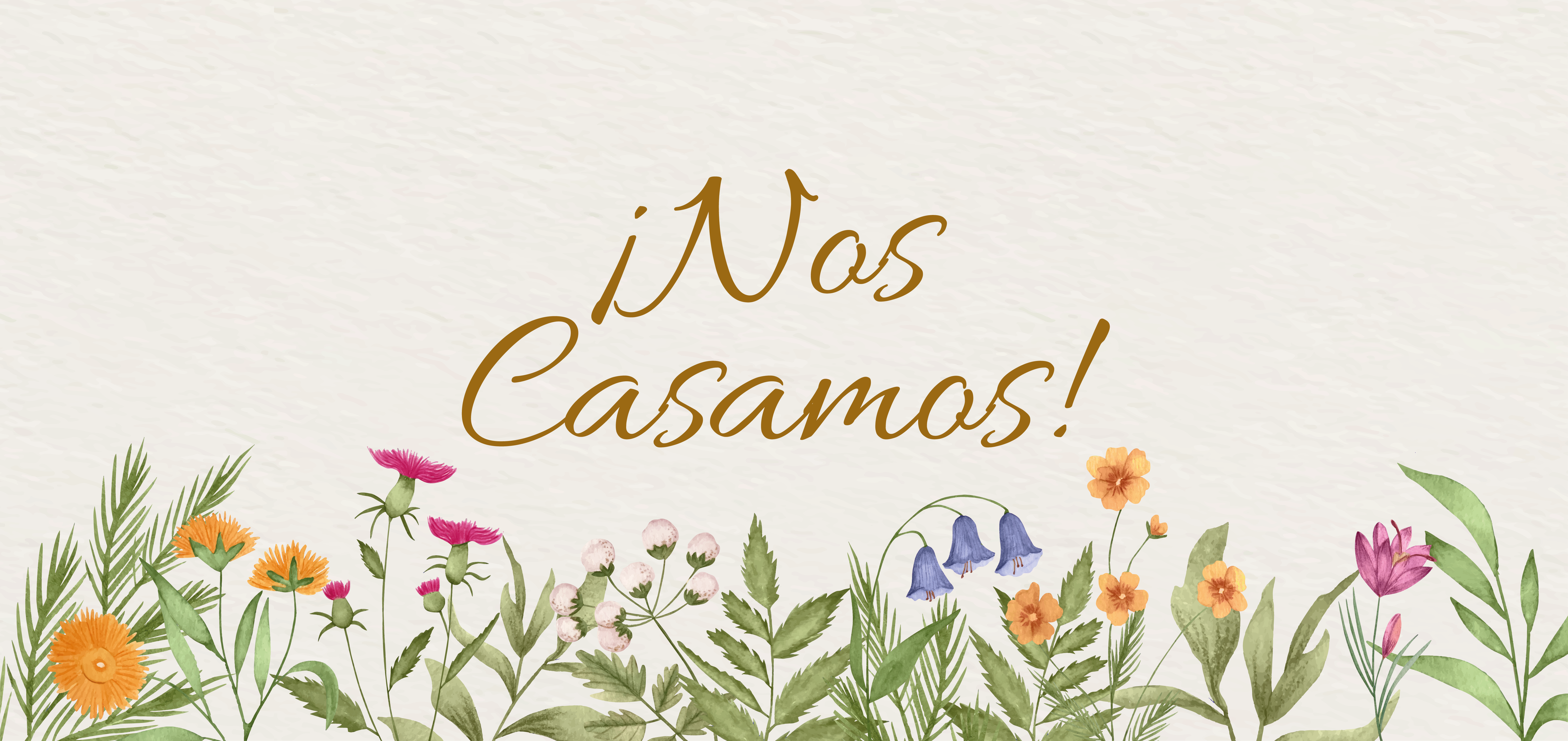 The Wedding Website of Maria Camila Arango and Santiago Cadavid
