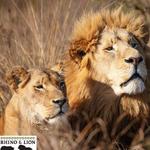 Bothongo Rhino & Lion Nature Reserve