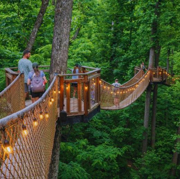 Anakeesta Gatlinburg, Tennessee