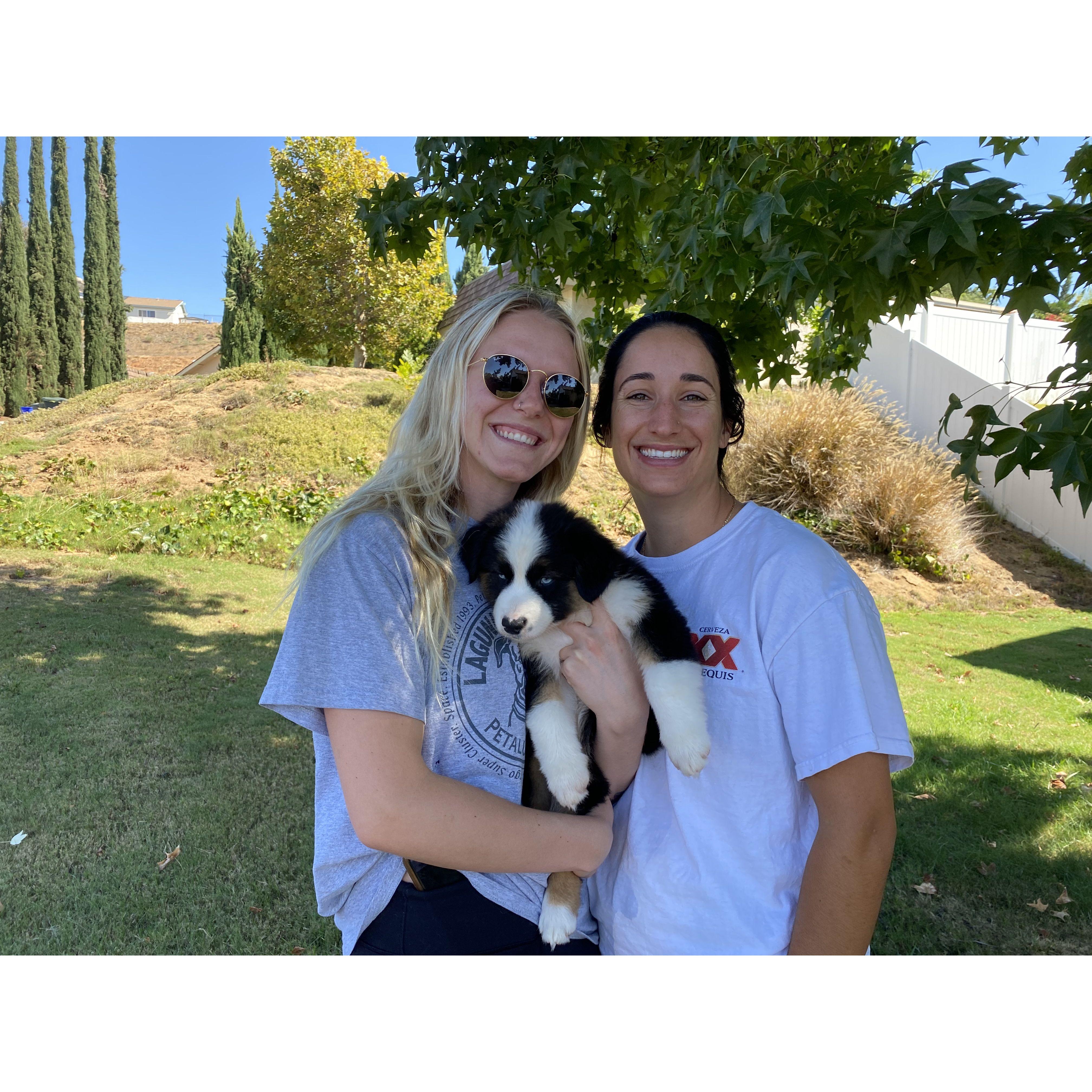 First day Jamo came home!