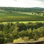 Driftwood Estate Winery