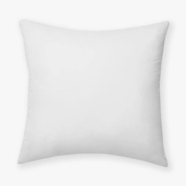 Pillow Inserts 20x20