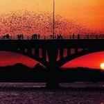 Congress Avenue Bridge