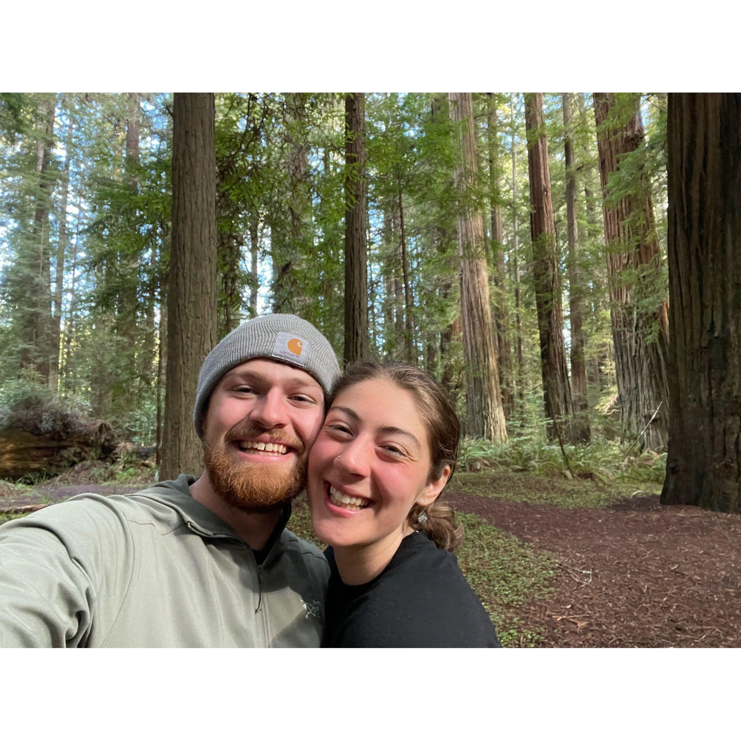 The redwoods!!!