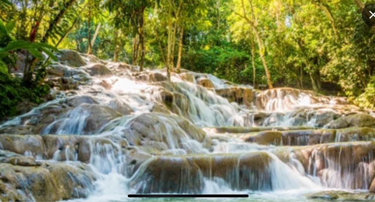 The Wedding Website of Elizabeth Anderson and John Dunbar