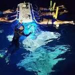 Manta Ray Night Dive or Snorkel