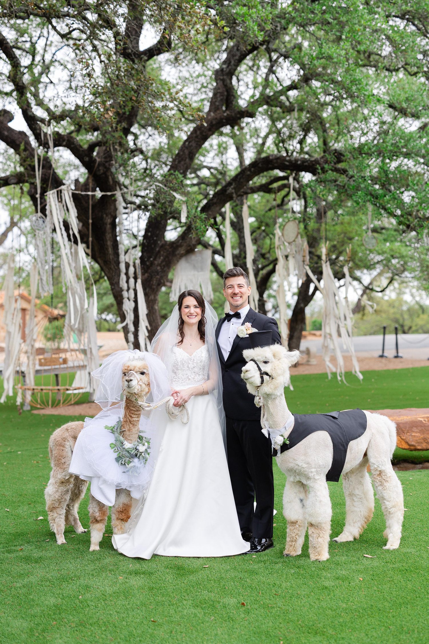 The Wedding Website of Andrea Seitz and Jaybrian Darmstadt