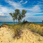 Indiana Dunes State Park