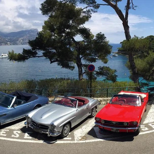 Specialty Car Rental